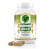 LEAFSOURCE LeafSource SHILAJIT 60 vcap - 70% Fulvic and 30%