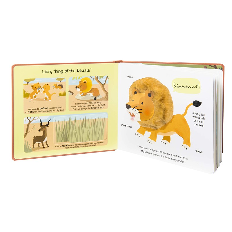 Touch and Explore: Safari