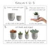 Altman Plants, Mimicry Succulents Plants Live Mini Succulents (4 Pack),