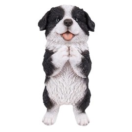 Oubia H16793 Border Collie Begging 5.2 x 4.1 x 8.7 inches (13.2 x 10.5 x 22 cm), Doll, Figure, Figurine, Animal, Garden, Decorative, Realistic, Cute, Dog, Dog