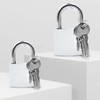 Lamondre Padlocks with Keys 2 Pack, Small Lock 32mm (Keyed