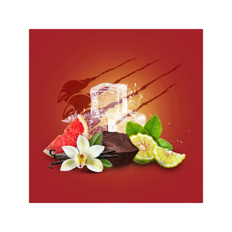 Old Spice Night Panther Wild Explorer Gift Set for Men