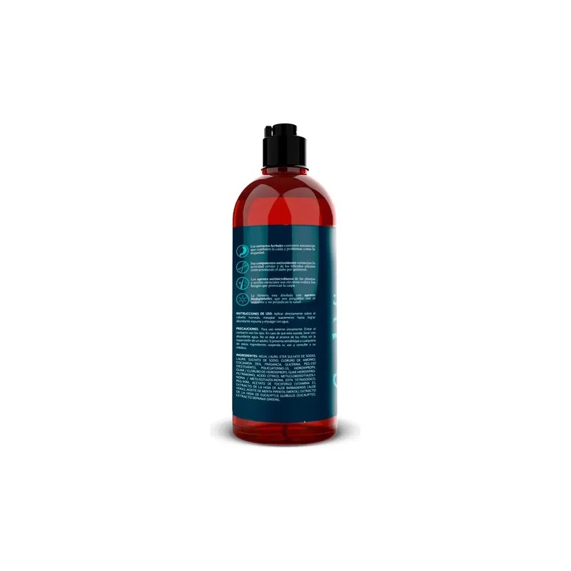 Shampoo Cool Mint Detox Therapy 591ml The Botanist