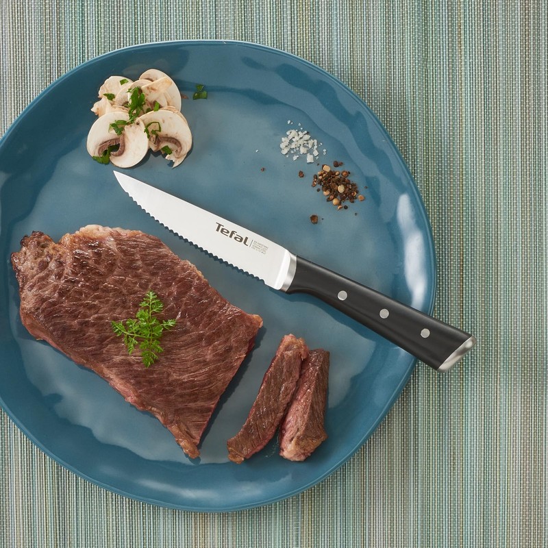 Tefal Ice Force Stainless Steel Steak Set of 411 cm,