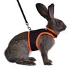 Niteangel Adjustable Soft Harness with Elastic Leash for Rabbits (M,