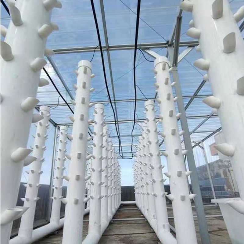 IMCCZONY 10 Sets Hydroponic Soil-Free Growing System DIY Hydroponic Nursery