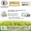 Organic Organic Matcha Tea Premium 1.1 oz (30 g) Honjien