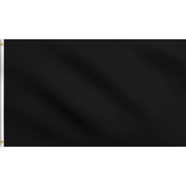 DMSE Solid Blank Flag 2X3 Ft Foot Flag UV Resistant (2x3 Polyester, Black)