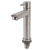 Kitchen Faucet Single Hole Stainless Steel Single Cold Sink Faucet