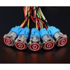 Hailege Locking Push Button Switch 16 mm 12V-24V 5A 1NO1NC