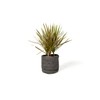 Vintage Design Homewares Asher Jute Basket, Grey, Small