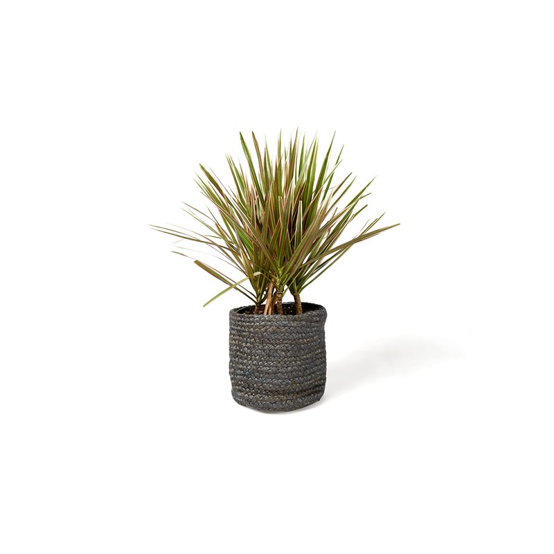 Vintage Design Homewares Asher Jute Basket, Grey, Small