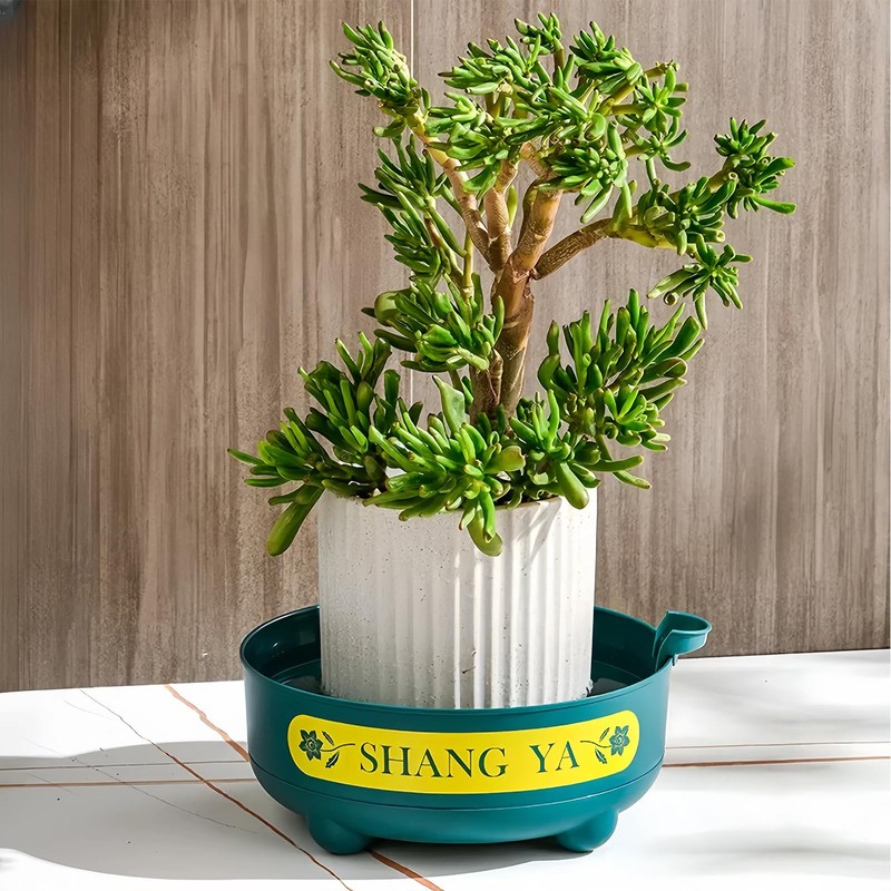 Deep Plant Saucer, Plastic Bottom Watering Tray with Height-adjustable Planter