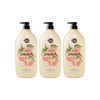 Shower Mate Fresh Body Wash Peach 1.2kg 3-pack (46123267) / 샤워메이트 프레시 바디워시 복숭아1.2kg 3개 (46123267)