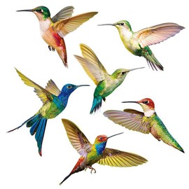6 Mixed Beautiful Bird Window Stickers, Hummingbird Wall Stickers Decor, Unique Double Sided Print, DIY Decal for Bedroom, Window, Kitchen Living Room