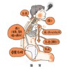 Lacnal Lumbar Relaxing Belt, (M Enji), Waist Belt, Pelvic Belt,