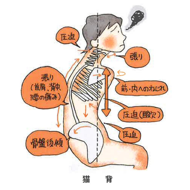 Lacnal Lumbar Relaxing Belt, (M Enji), Waist Belt, Pelvic Belt,