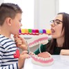 Giant Teeth Dental Demonstration Model with Toothbrush, Enlarged 6 Times