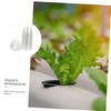 Mipcase 50Pcs Hydroponic Plants Insulation Covers Transparent Planting Covers for