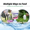 Jack's Classic 20-6-22 Petunia Feed Water-Soluble Fertilizer with Micronutrients to