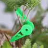 Pack of 40 360° Adjustable Plant Clips, Plant Stem Trainer