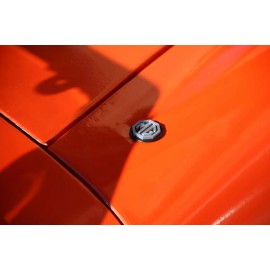 Unbranded Mg Midget antenna hole delete / antenna  hole plug- silver on black plastic