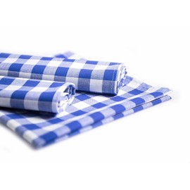 texpot Country House Napkin 60 x 60 cm Set of 6 Blue/White Checked 100% Cotton in 20 mm Chequered Farmer's Check