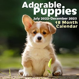 EcoEarth Biodegradable 11x22 Inch (Open) 18 Month Vertical Hanging Wall Calendar, Jul 2022 - Dec 2023 Monthly Calendar, Adorable Puppies