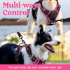 rabbitgoo Dog Harness for Large Dogs, No Pull Pet Vest