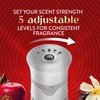 Air Wick Scented Oils 0+5 Warm Apple & Cinnamon