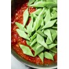 TomorrowSeeds Lu Qing Romano Bean Seeds | Pole Beans Light