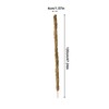 Moss Pole Coconut Stick DIY Modeling Plant Climbing Pole Climbing