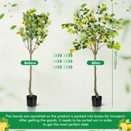 Jexine 2 Pack Artificial Lemon Tree Tall Fake Plant Pre Potted Faux Lemon Tree Realistic Fruits for Indoor Home Decor Office Living Room(5 ft)