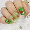 Toma Tok Tok Handmade Nail Tips - Paddy A /