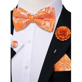 Ailisus Orange Paisley Bow Tie for Men Silk Woven Pre-tied Bowtie and Pocket Square Cufflinks Lapel Pin Set Wedding Party Prom