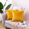 CXTAI 2x Yellow Velvet Cushion Covers Decorative Square Autumn Throw