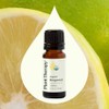 Plant Therapy Aceite Esencial De Bergamota 10ml