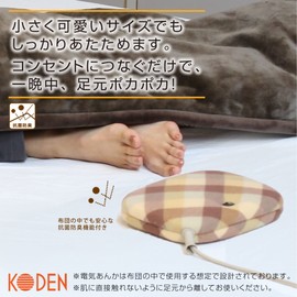 KODEN VWH602H-BG Electric Peel, Flat Type, 6.3 x 9.1 x 2.0 inches (16 x 23 x 5 cm), Plain, Antibacterial, Odor Resistant, Temperature Control, Energy Saving, Compact