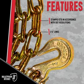 Bulletproof Light Duty 1/4" x 20' Transport Chain