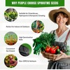 Open Seed Vault 30,000 Non GMO Heirloom Vegetable Seeds -