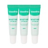 (3ea) Foodaholic Vaseline Moisture Lip Balm Mint Scent 12ml /