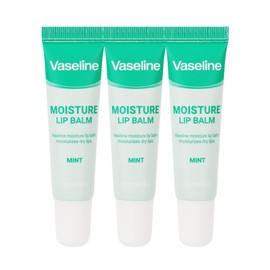 (3ea) Foodaholic Vaseline Moisture Lip Balm Mint Scent 12ml / (3개)푸드어홀릭 바세린 모이스처 립밤 민트향 12ml