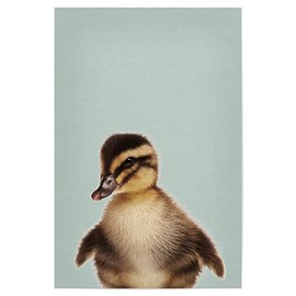 artboxONE Poster 30 x 20 cm Picture for Children Duckling Photo - Picture Duckling Baby Animals Baby Room
