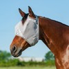 Cashel Crusader Fly Mask, Standard (Tundra, Weanling)