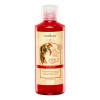 Chile Classico Shampoo + Acondicionador + Gel Kit Florigan