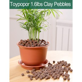 Expanded Hydroponic Clay Pebbles 2.5qt, 2 lb, 8mm-12mm, Natural Organic Flower Orchid Plant Grow Media, Porous Stones for Hydroponics, Drainage, Decoration, Aquaponics and Other Gardening Essentials