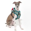 Festive Harness A Dog Harness, Green, M