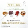 Sastty [For Gray Hair] Rishiri Color Cream (Black) 6.0 oz