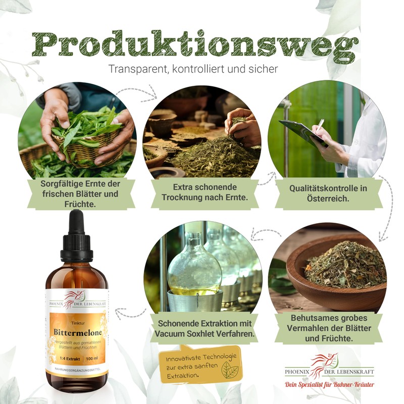 Bitter Melon Tincture 100 ml | Momordica Charantia Drops (1:4