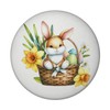 Easter Bunny in Easter Nest Magnet Round Cute Rabbit with